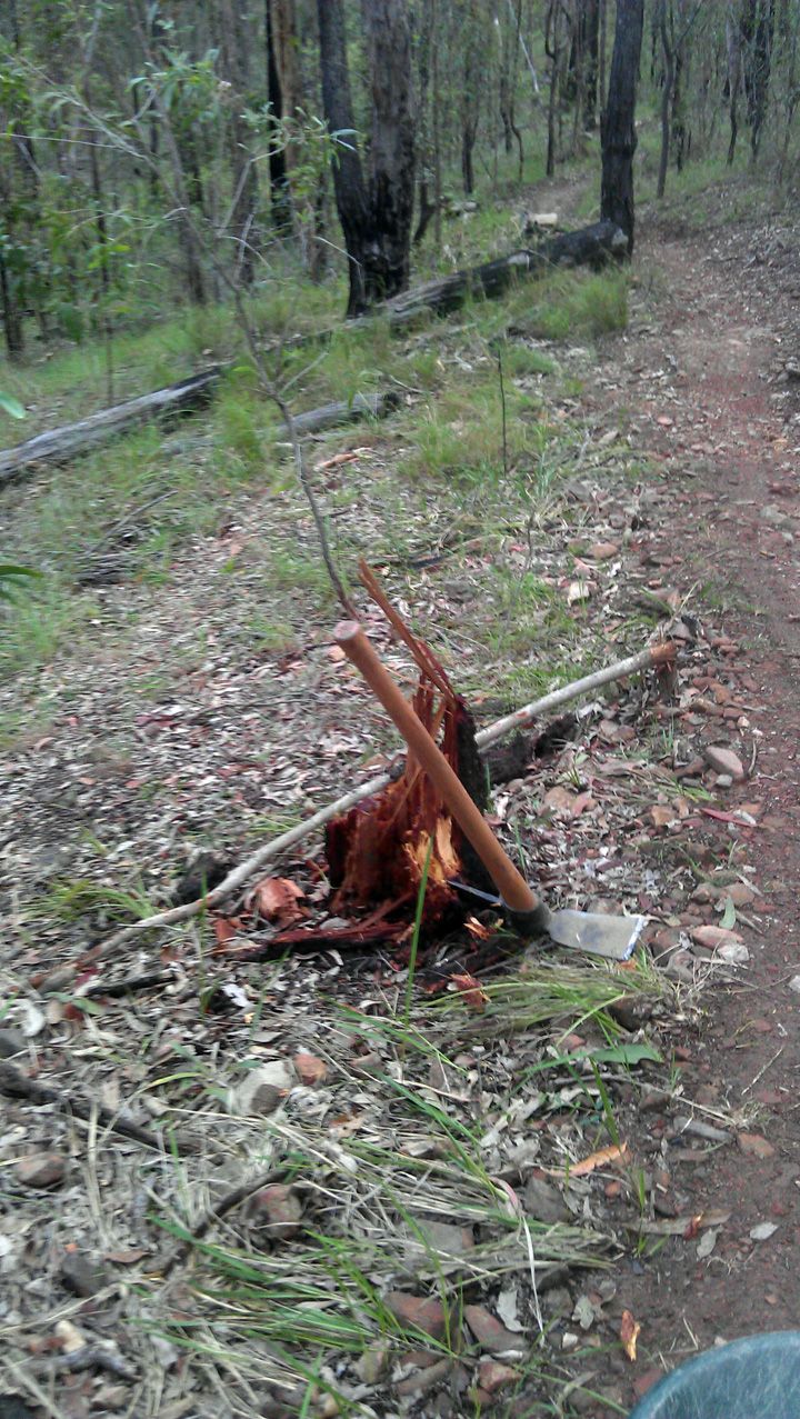 Lower Stump Before